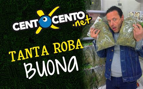 centoxcento alex magni|alex magni inculato Search